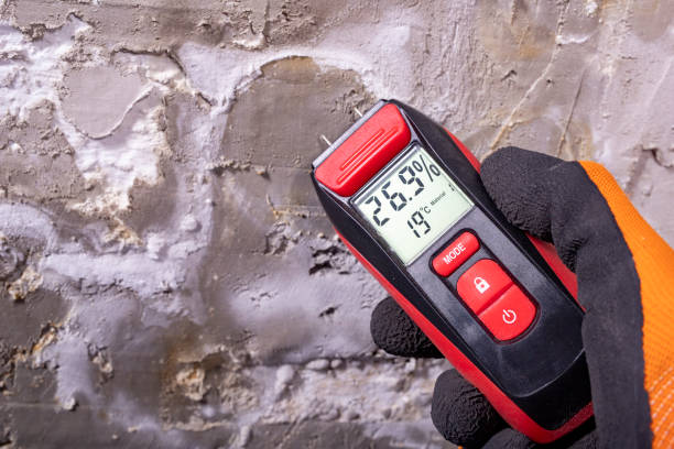 Best Mold Removal and Inspection  in Lakeland Highlands, FL