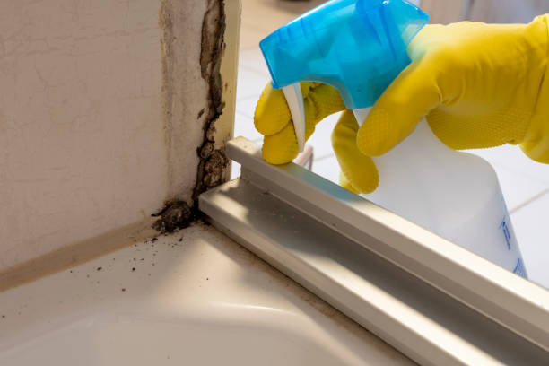 Best Office Mold Removal Services  in Lakeland Highlands, FL
