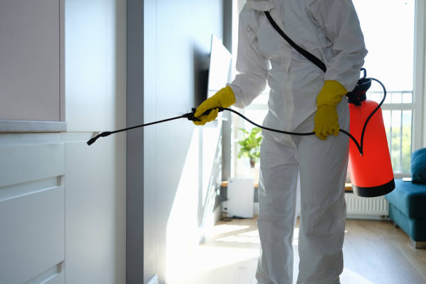 Best Residential Mold Removal  in Lakeland Highlands, FL